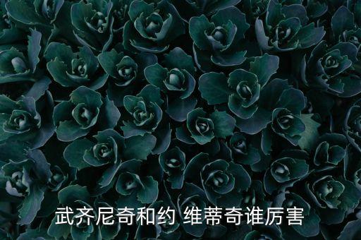 約維蒂奇現(xiàn)在在哪個(gè)隊(duì),歐冠杯:曼聯(lián)擊敗尤文圖斯奪得四強(qiáng)