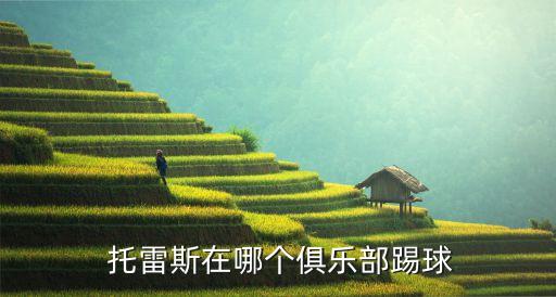  托雷斯在哪個(gè)俱樂(lè)部踢球