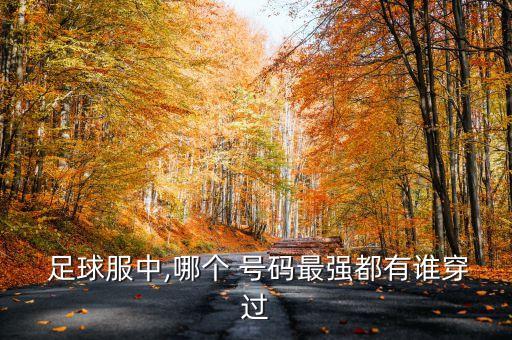  足球服中,哪個(gè) 號(hào)碼最強(qiáng)都有誰(shuí)穿過