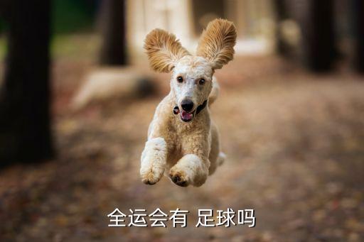 全運(yùn)會有 足球嗎