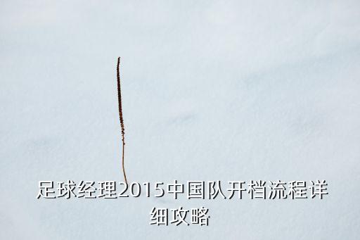 中國(guó)青年足球隊(duì)員桂宏