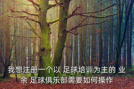 我想注冊(cè)一個(gè)以 足球培訓(xùn)為主的 業(yè)余 足球俱樂(lè)部需要如何操作