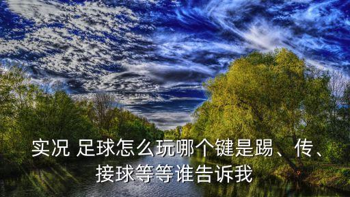  實況 足球怎么玩哪個鍵是踢、傳、接球等等誰告訴我