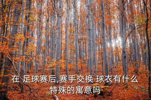 足球球衣反穿,足球11號球衣是誰穿的