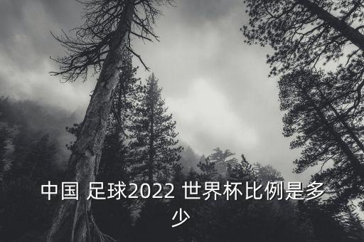 中國(guó) 足球2022 世界杯比例是多少