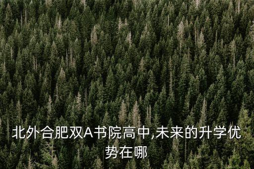北外合肥雙A書院高中,未來(lái)的升學(xué)優(yōu)勢(shì)在哪