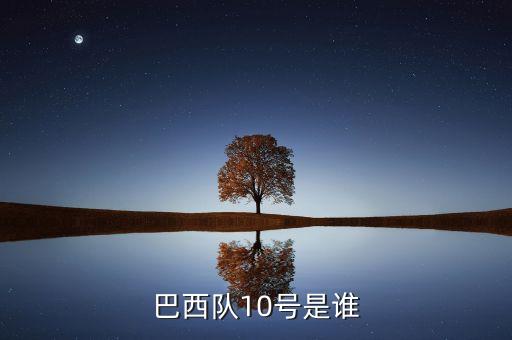 巴西隊(duì)10號(hào)是誰