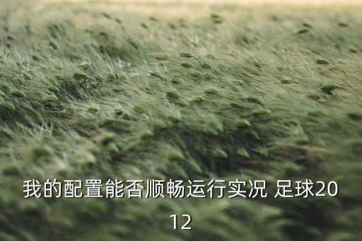 我的配置能否順暢運(yùn)行實(shí)況 足球2012