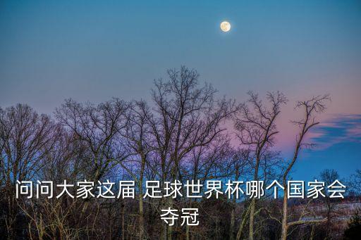 問問大家這屆 足球世界杯哪個國家會奪冠