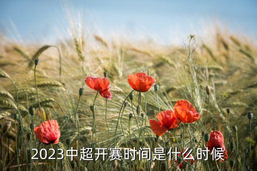 1994年杭州市中學生足球聯(lián)賽,2022年海南省中學生足球聯(lián)賽