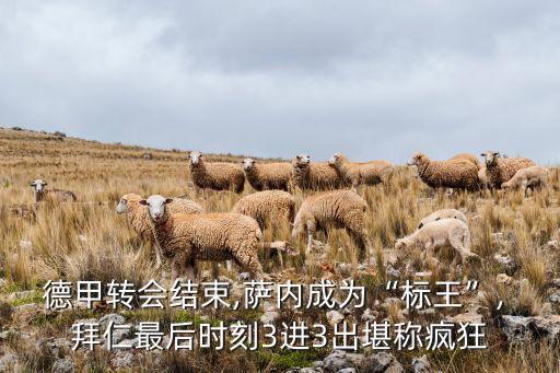 德甲轉(zhuǎn)會(huì)結(jié)束,薩內(nèi)成為“標(biāo)王”, 拜仁最后時(shí)刻3進(jìn)3出堪稱瘋狂
