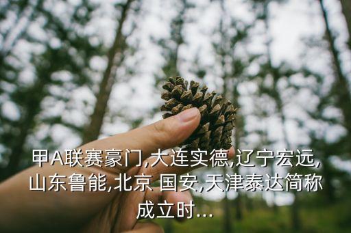 甲A聯(lián)賽豪門,大連實(shí)德,遼寧宏遠(yuǎn),山東魯能,北京 國(guó)安,天津泰達(dá)簡(jiǎn)稱成立時(shí)...