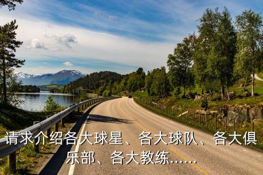 請求介紹各大球星、各大球隊、各大俱樂部、各大教練……
