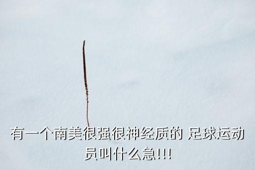 有一個(gè)南美很強(qiáng)很神經(jīng)質(zhì)的 足球運(yùn)動(dòng)員叫什么急!!!
