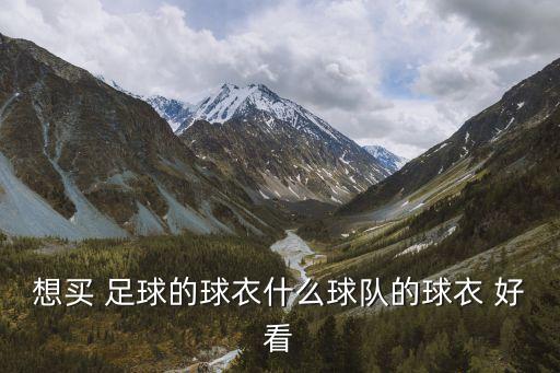 想買 足球的球衣什么球隊(duì)的球衣 好看