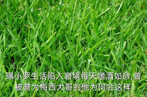 曝小羅生活陷入窘境每天嗜酒如命,曾被譽(yù)為梅西大哥的他為何會(huì)這樣