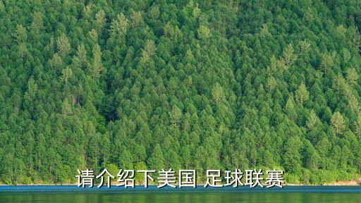 請(qǐng)介紹下美國(guó) 足球聯(lián)賽