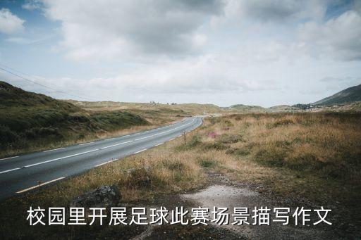 校園里開(kāi)展足球此賽場(chǎng)景描寫(xiě)作文