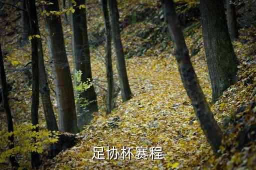2018年中國(guó)隊(duì)足球賽程,足球世界杯2018賽程