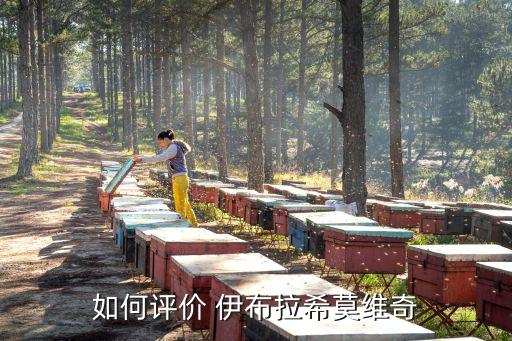 如何評價 伊布拉希莫維奇