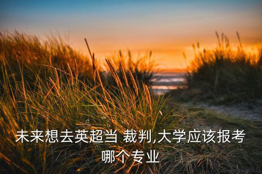 未來(lái)想去英超當(dāng) 裁判,大學(xué)應(yīng)該報(bào)考哪個(gè)專(zhuān)業(yè)