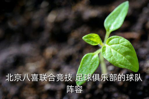 北京八喜聯(lián)合競技 足球俱樂部的球隊陣容