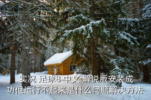 實(shí)況足球8 3dm中文解說國(guó)際版
