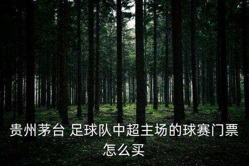 貴州茅臺 足球隊(duì)中超主場的球賽門票怎么買