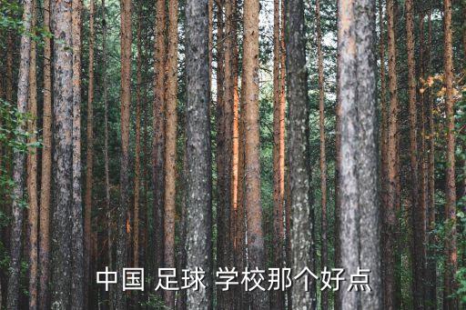 中國 足球 學校那個好點