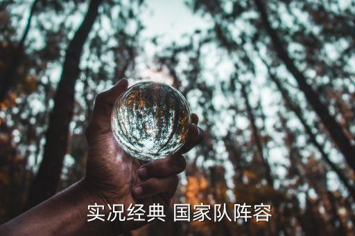  實(shí)況經(jīng)典 國(guó)家隊(duì)陣容