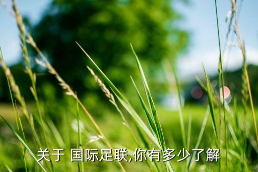 國(guó)際足球的新聞
