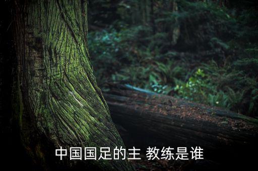 華夏幸福足球隊(duì)教練是誰,葉珺 華夏幸福足球隊(duì)