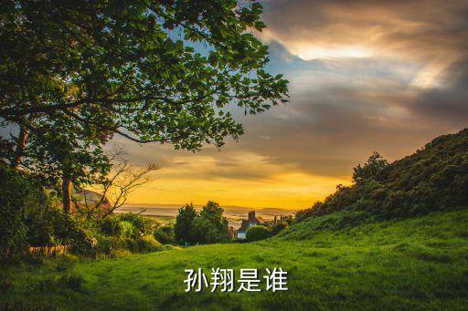 足球運(yùn)動(dòng)員孫翔