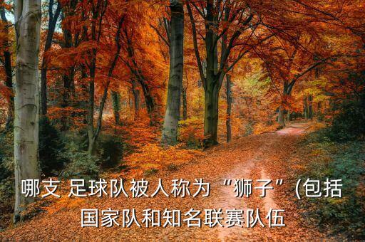 哪支 足球隊被人稱為“獅子”(包括國家隊和知名聯(lián)賽隊伍