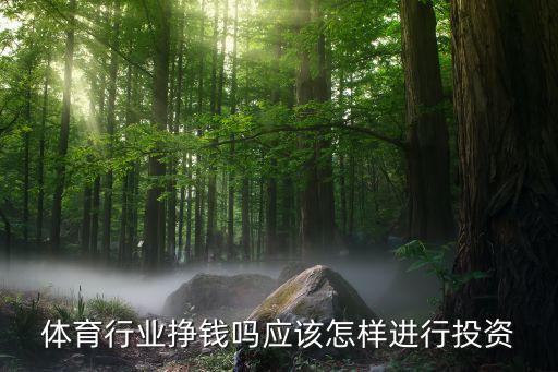 體育行業(yè)掙錢嗎應該怎樣進行投資