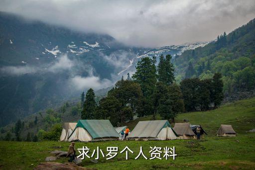 求小羅個(gè)人資料