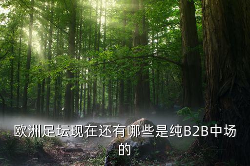 費(fèi)萊尼在夢幻足球