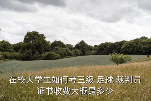 足球二級(jí)裁判證圖片,國(guó)家二級(jí)足球裁判證查詢
