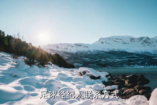  足球經紀人聯(lián)系方式
