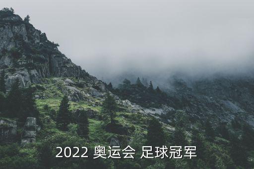 西班牙奧運(yùn)會(huì)足球奪冠,阿根廷08奧運(yùn)會(huì)足球奪冠過程