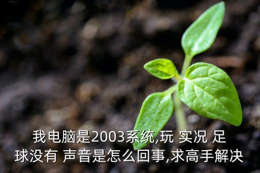 我電腦是2003系統(tǒng),玩 實(shí)況 足球沒有 聲音是怎么回事,求高手解決