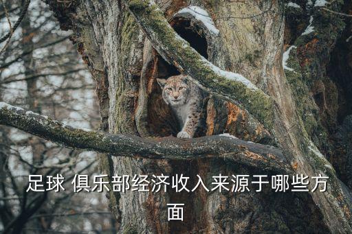 搞足球俱樂(lè)部怎么賺錢,最賺錢的足球俱樂(lè)部排名