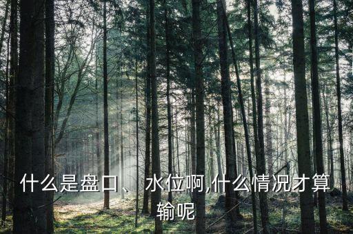 什么是盤口、 水位啊,什么情況才算輸呢