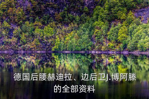  德國(guó)后腰赫迪拉、邊后衛(wèi)J.博阿滕的全部資料
