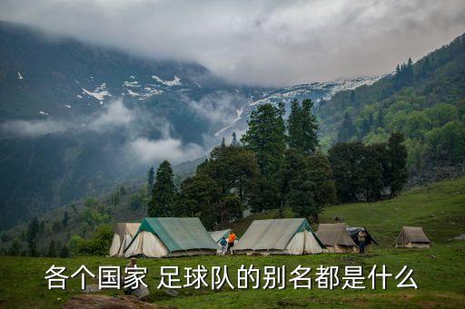 各個國家 足球隊的別名都是什么