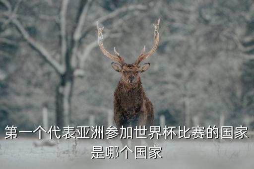 2印度尼西亞足球,印度尼西亞足球場踩踏事件