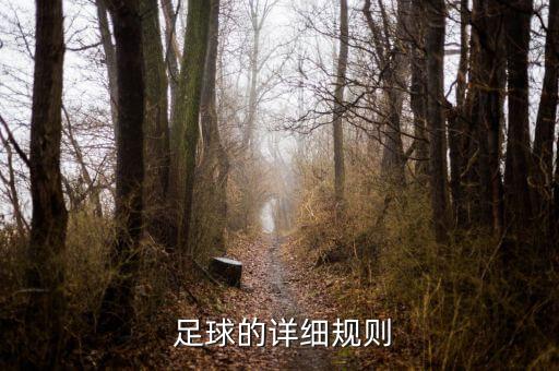  足球的詳細規(guī)則