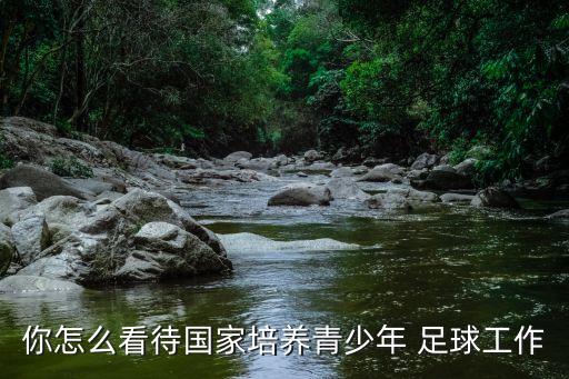 你怎么看待國(guó)家培養(yǎng)青少年 足球工作