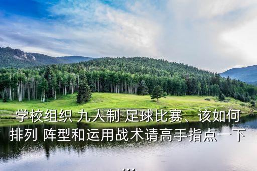 學(xué)校組織 九人制 足球比賽、該如何排列 陣型和運用戰(zhàn)術(shù)請高手指點一下...