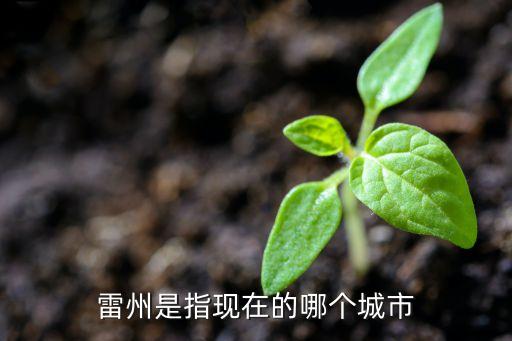 雷州是指現(xiàn)在的哪個城市